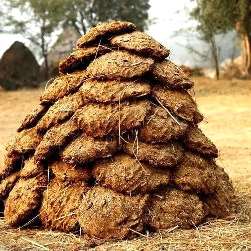 Dry Cow Dung Cake